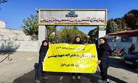 دانش آموزان دبیرستان دخترانه شهید بهشتی از پرستاران تجلیل کردند